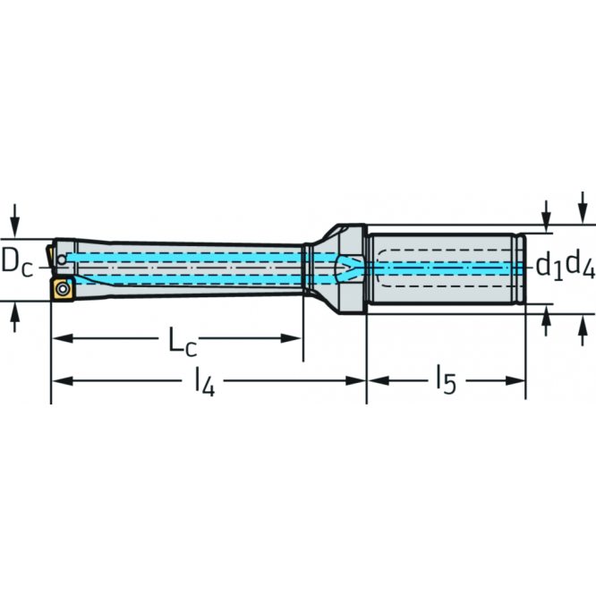 Burghie cu plăcuţe amovibile D3120-04 D3120-04-35.00F32-P24