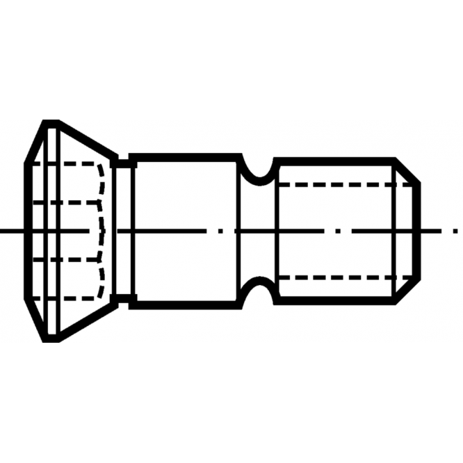 Şuruburi cu cap FS392