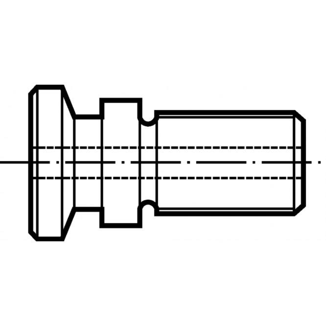 Şuruburi cu cap FS712